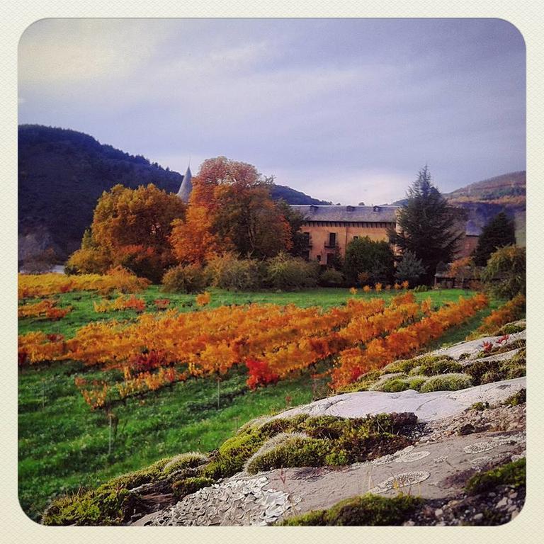 Apartamentos El Camino Villafranca Del Bierzo Eksteriør billede